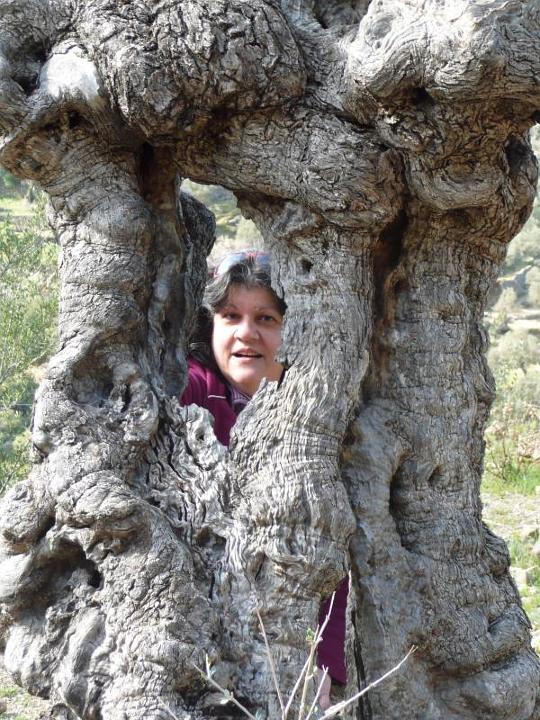 sizilien-mallorca 273.jpg - Catherine findet die L�cke